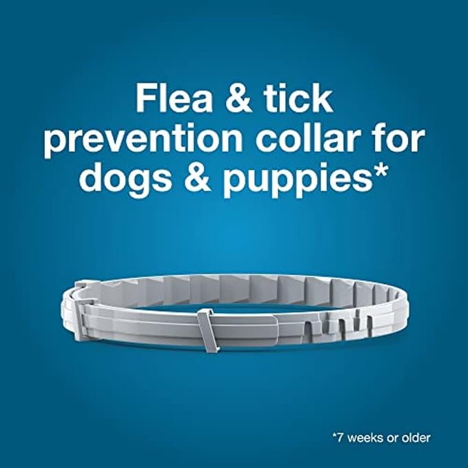 Seresto Large + Small Dog Flea & Tick Collar Bundle – 8 Month Vet-Recommended Protection