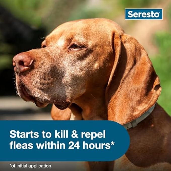 Seresto Large + Small Dog Flea & Tick Collar Bundle – 8 Month Vet-Recommended Protection